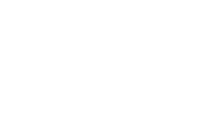 Wildfire